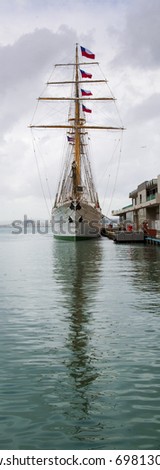Huge Chile sail ship - Esperanza