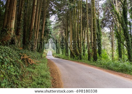 Paths of the saw of sintra, portugal Royalty-Free Stock Photo #698180338