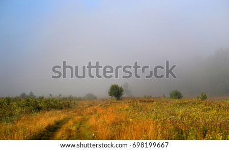 Photo of a rural landscape in a fog in the early morning