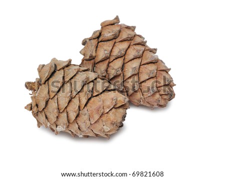 Small group of cones combined on a white background