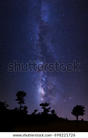 Beautiful milkyway and silhouette of tree on a night sky with stars and space dust in universe