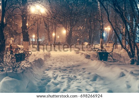 winter Night outdoor. night park snowfall. january street light lamp. christmas mood picture. Cold winter. Low temperature