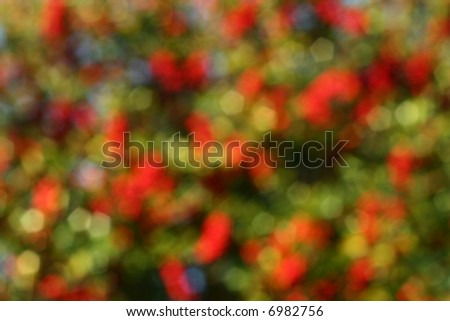 red and green background