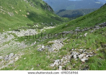 Mountain landscapes, blue sky, green grass, trees. The Existence of Summer