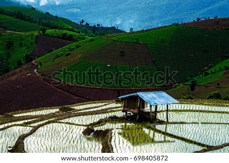 Morning View of Rice Terrace During the Sunrise