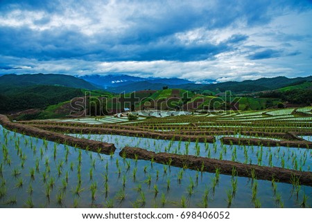 Morning View of Rice Terrace During the Sunrise