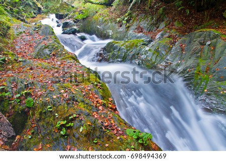 Beautiful autumn scenery in Taiwan, Asia. The fallen leaves make the stream a Beautiful and colorful picture, at Taroko National Park, Taiwan,Asia.