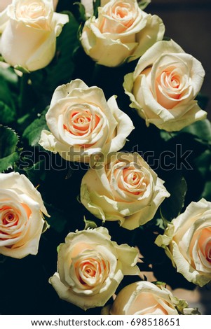 Romantic bouquet with cream-colored roses closely. Lovely white roses for cards, congratulations, wedding, invitations, gifts, presents, posters, prints, wallpapers, design, interior, birthday, date.