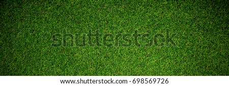 Close up view of astro turf in crossfit gym Royalty-Free Stock Photo #698569726