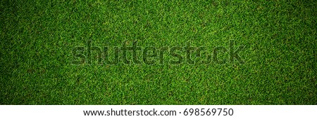Close up view of astro turf in crossfit gym Royalty-Free Stock Photo #698569750