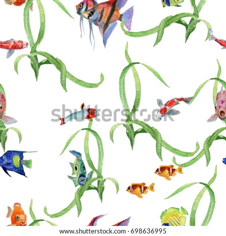 Watercolor hand drawn tropical fish on a white background. 