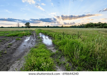 countryside fields in summer with forests in background and clouds above in dramatic sunset