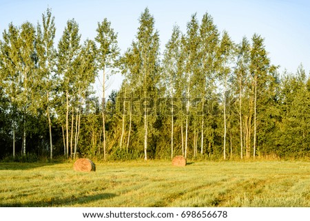 countryside fields in summer with rolls of hay and forests in background in morning sun