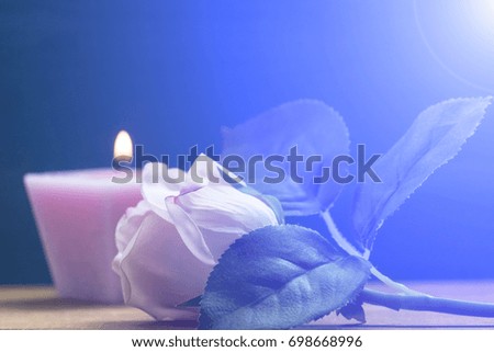 Rose and candle on the table