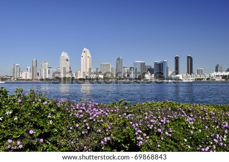 Flowers grow in the foreground on the island of Coronado with the San Diego skyline visible across the bay.