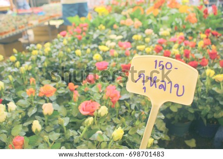 Focus label selling roses. "One hundred and fifty Thai Baht"