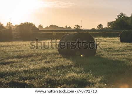 countryside fields in summer with rolls of hay and forests in background in morning sun - vintage film look