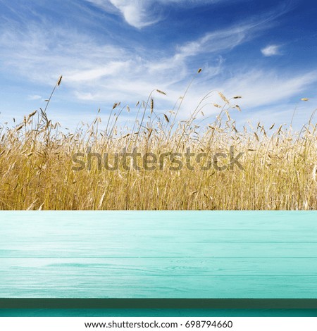 Empty wooden deck table with blurred background of summer landscape with blue sky. Ready for product display montage.