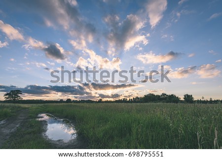 countryside fields in summer with forests in background and clouds above in dramatic sunset - vintage film look