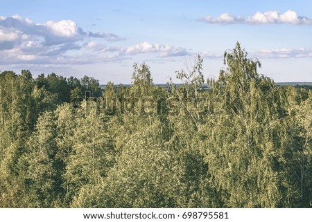 panoramic view of misty green forest. far horizon - vintage film look