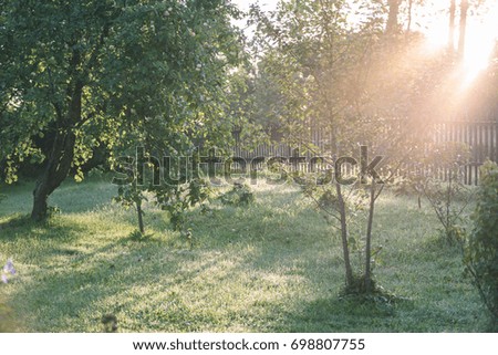 early morning in the countryside garden with fence and sun rays in summer - vintage film look