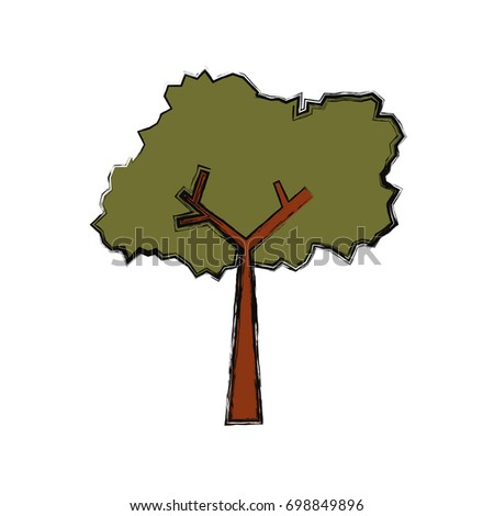Tree nature ecology
