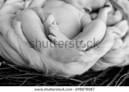 legs newborn baby black white photo
