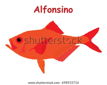 Fish vector cartoon illustration t shirt design for kids with saltwater animal alfonsino fish theme