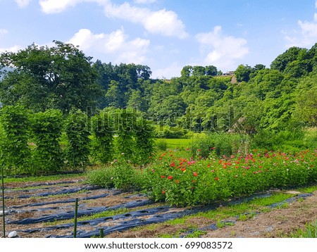 Green field and flower garden with beautiful sky