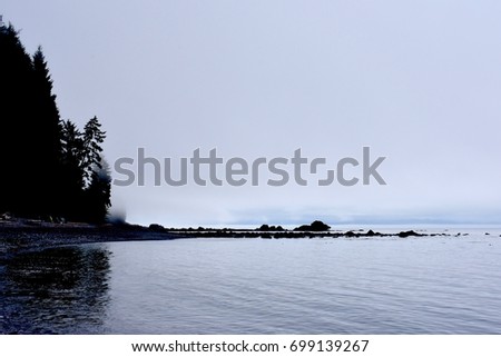 Rocky Coast Line Lined with Evergreen Rain forest