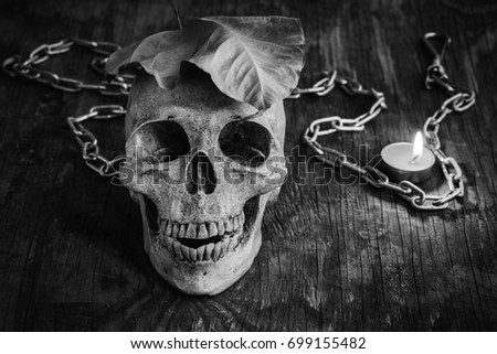 Skull on an old wooden background,Phoney human skull on wooden floor,Halloween concept,black and white filter