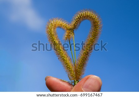 Grass flower and sign Heart 