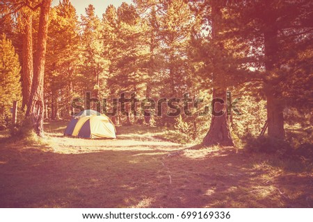 tourism, tent in the mountains in a forest, sunlight, summer, warm. Tourist camp at dawn. The rays of the sun break through the trees.