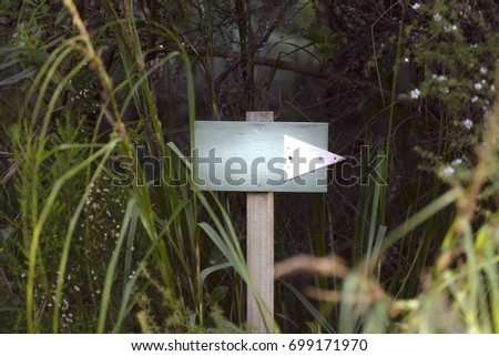 Sign indicating the route
Signpost in a forest, blank space for customising text or pictures