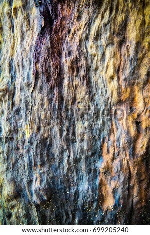 Beautiful tree plank texture and background