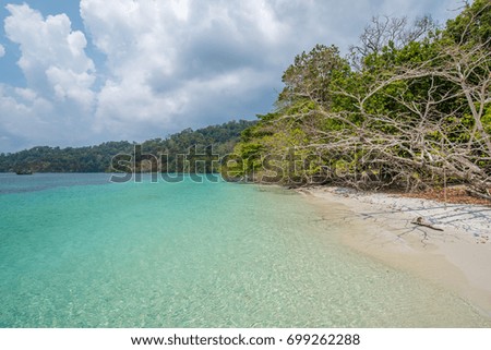 beautiful view sea in thailand. Sea view with sunny sky. Tropical shore. Ocean beach relax. outdoor travel.  Amazing Andaman. Wonderful Andaman Pearl At Koh Lipe, Thailand