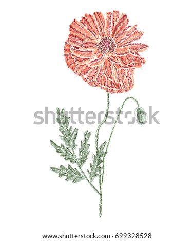 Elegant red poppy flower, design element. Can be used for cards, invitations, fashion ornaments, fabrics, manufacturing, clothing design. Embroidery style decorative flowers. Editable