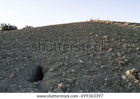 natural life fox holes pictures,