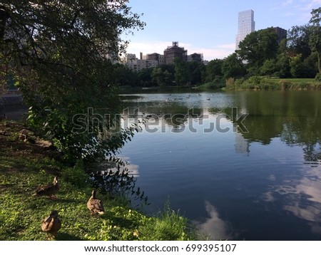 Central Park lake Royalty-Free Stock Photo #699395107
