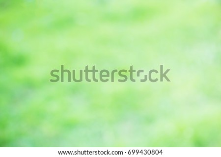 Beauty Nature Bokeh. Abstract background beautiful green,yellow or colorful bokeh blur background and texture with morning sunlight. copy space for any design. Spring summer natural blurred background