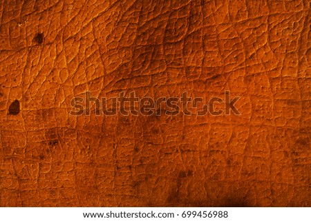 Old leather background