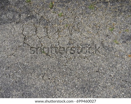 Cracks in pavement with weeds growing 