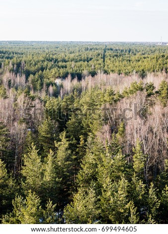 panoramic view of misty forest. far horizon - vertical, mobile device ready image