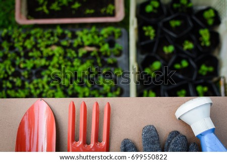 Tools on planting on wood table and farm work with a dream garden.selective focus