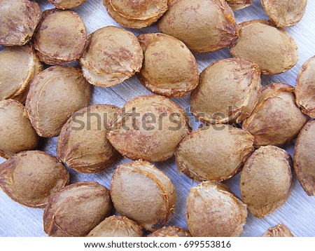 Apricot kernels on white ground, pictures of apricot kernels used in medicine and pill making,