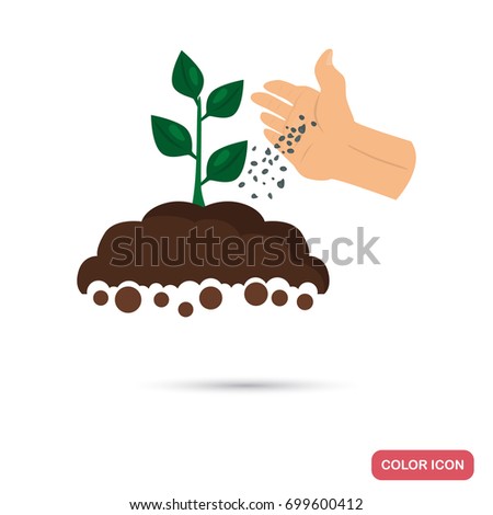 Putting fertilizer to the agriculture crop color flat icon for web and mobile design Royalty-Free Stock Photo #699600412