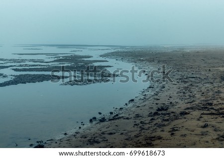 misty ocean ,sea. beach cold , wet weather  poor visibility . A man goes into the distance and left only the silhouette