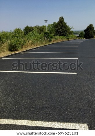 Perspective photo of empty parking lot with black asphalt surface and painted white lines and trees, bushes with blue sky background