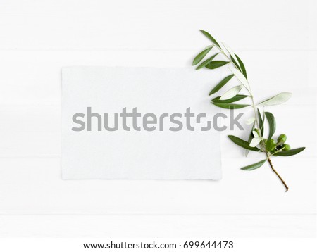 Styled stock photo. Feminine wedding desktop mockup with green olive branch and white empty paper card. Foliage composition on old white wooden background. Top view. Flat lay picture.