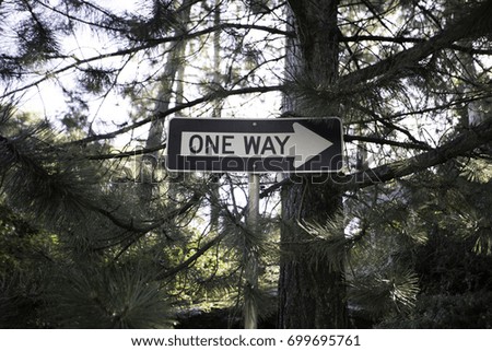 A one way sign amongst plenty of trees
